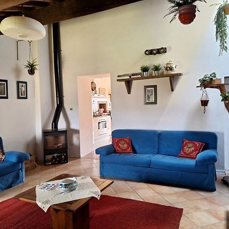 La Selva Apartment Certaldo Ngoại thất bức ảnh